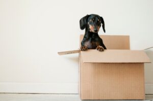 Moving Out of California | Graham and Kelly Levine | Real Estate