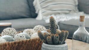 San Diego Winter Chic | Trendy Decor Ideas | Graham and Kelly Levine | Carlsbad Real Estate